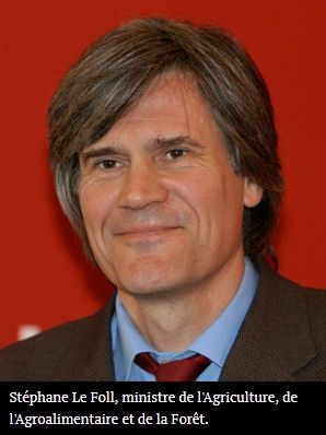 Stephane_le_foll.jpg
